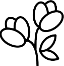 The Flower Collective logo